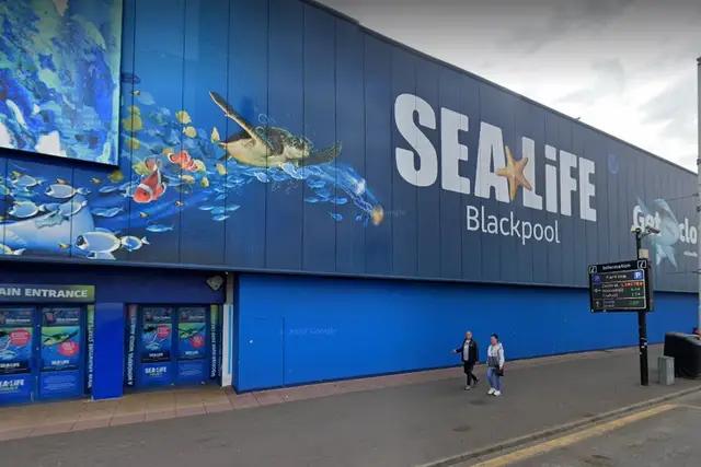 Skip The Queue Pass Example Merlin make announcement on Blackpool attractions after changes to ...